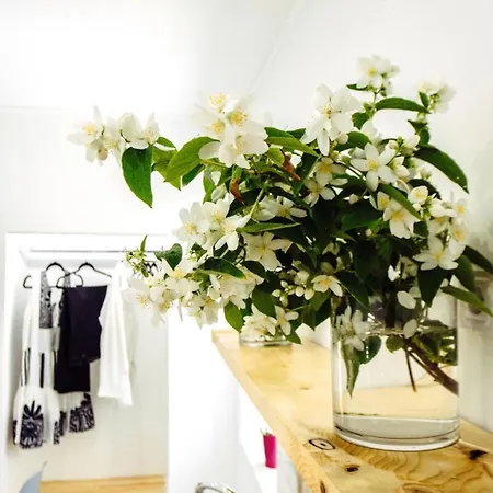 Appartement Anna Gouviá